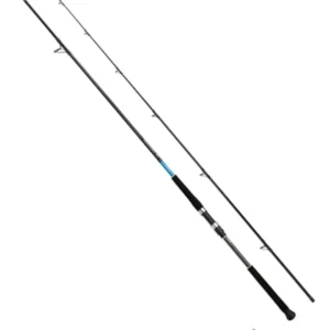 SHIMANO BASSTERRA XT SHORE JIGGING
