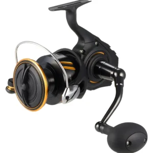 Home 1 Daiwa 26 bg sw